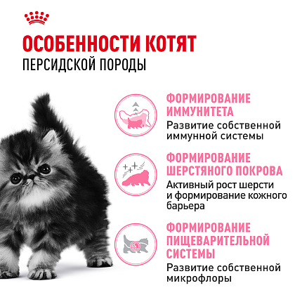Royal Canin Persian Kitten Корм сухой сбалансированный для персидских котят (до 12 месяцев), 10 кг